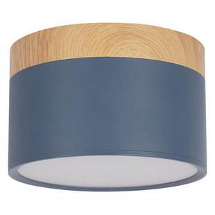Светильник потолочный LOFT IT GRAPE 10162 Blue