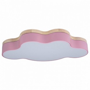 Светильник потолочный LOFT IT AXEL 4 10005/30 Pink