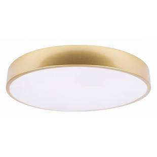 Светильник потолочный LOFT IT FLIMS 10228/A