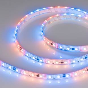 Лента LED SPI-P-B60 14,4 W/m 12V IP66 5060/60 K 12mm (5м) 026365(3) ARLIGHT