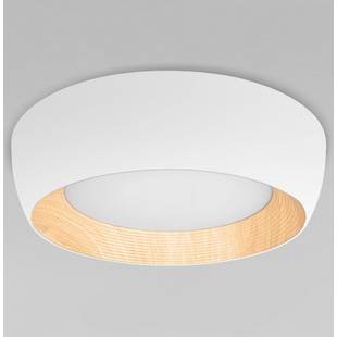 Светильник потолочный LOFT IT FOLK 10255/500 White