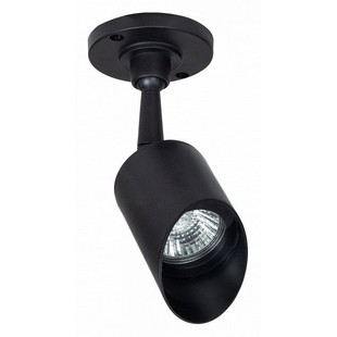 Прожектор ландшафтный ARTE LAMP ELSIE A1022AL-1BK