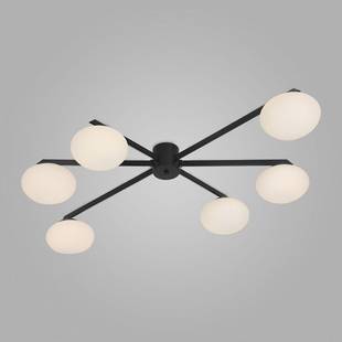 Люстра потолочная EUROSVET OPALINE 70220/6 черный
