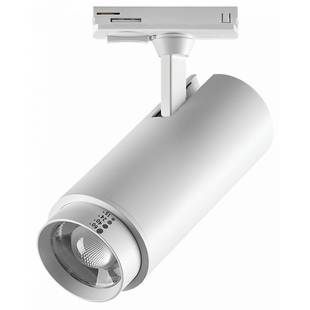 Трековый светильник LIGHTSTAR FUOCO P+CCT 218026