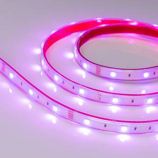 Лента LED RTW-PS-B30 7,2 W/m 12V IP67 5060/30 K 13mm (5м) 28711 ARLIGHT