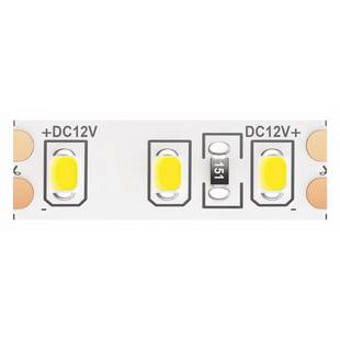 Лента LED STANDART 14,4 W/m 12V IP20 2835/120 6000K 8mm (5м) 10116 MAYTONI