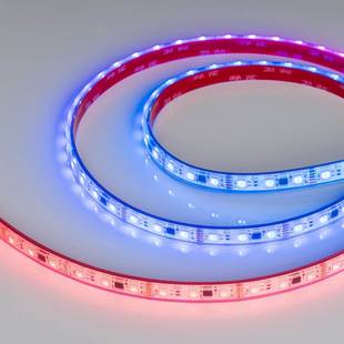 Лента LED DMX-PFS-B60 14 W/m 12V IP68 5060/60 K 12mm (5м) 39175 ARLIGHT
