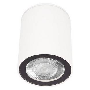 Спот LOFT IT RUSH 10344 White