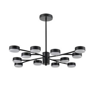 Люстра подвесная LUMION TORINA 8117/12