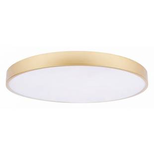 Светильник потолочный LOFT IT FLIMS 10228/B