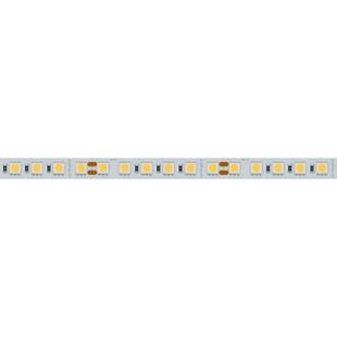 Лента LED RT-B96 23 W/m 24V IP20 5060/480 6000K 10mm (5м) 017427(2) ARLIGHT