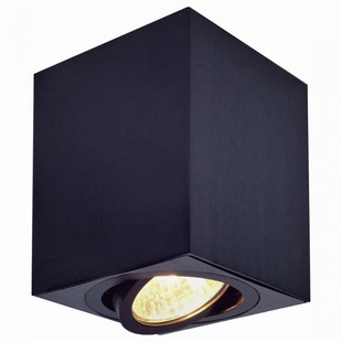 Спот CITILUX ДЮРЕН CL538213