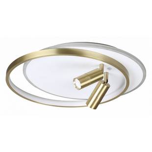 Светильник потолочный LUMION NAOKO 5603/63CL