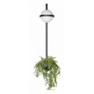 Бра LOFT IT JARDIN 10121W/B