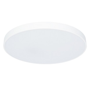 Светильник потолочный ARTE LAMP ARENA A2671PL-1WH