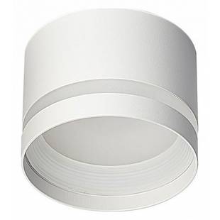 Спот CITILUX HARDY CL002C10