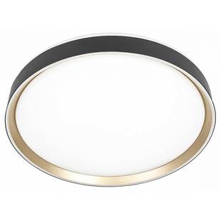 Светильник потолочный CITILUX BOSS CL751451G