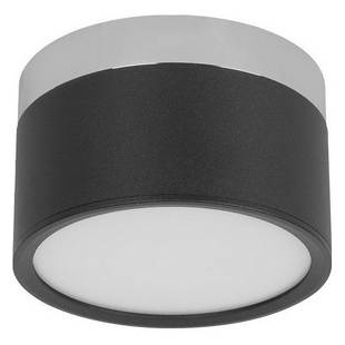 Светильник потолочный LOFT IT PHOTON 10179/12 Black