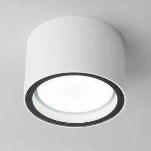 Светильник уличный потолочный ELEKTROSTANDARD LIGHT 4690389180828