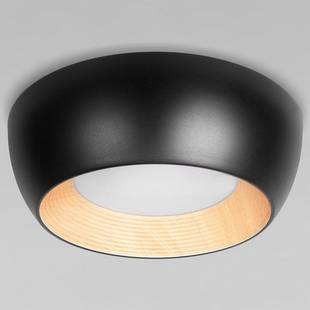 Светильник потолочный LOFT IT FOLK 10255/350 Black