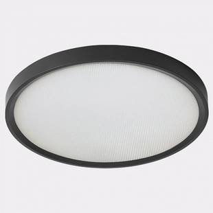 Светильник потолочный ITALLINE IT011 IT011-5024 black
