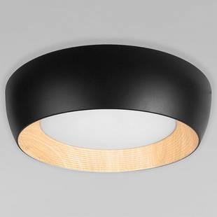 Светильник потолочный LOFT IT FOLK 10255/500 Black