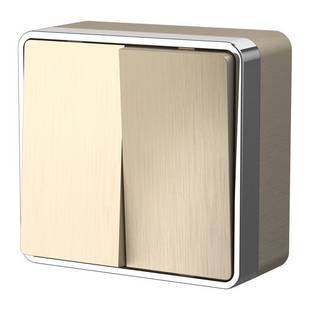 Выключатель 2-кл, GALLANT, шампань рифленый, W5020010, WERKEL