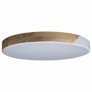 Светильник потолочный LOFT IT AXEL 3 10004/36 White