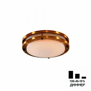 Светильник потолочный CITILUX БОСТОН CL709203N
