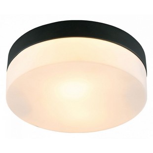 Светильник потолочный ARTE LAMP AQUA-TABLET A6047PL-2BK