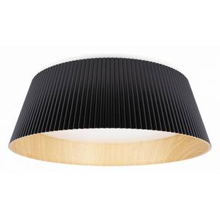 Светильник потолочный LOFT IT EVANS 10224 Black