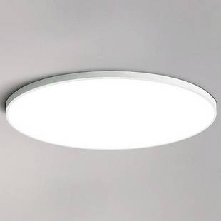 Светильник потолочный IMPERIUMLOFT SLIM 178439-26