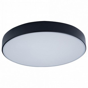 Светильник потолочный LOFT IT AXEL 1 10002/24 Black