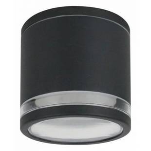 Светильник уличный потолочный ARTE LAMP NUNKI A1910PF-1BK