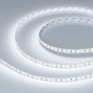 Лента LED RT-A120 14,4 W/m 12V IP20 2835/120 8000K 8mm (5м) 028568(2) ARLIGHT