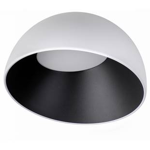 Светильник потолочный LOFT IT EGG 10197/350 WB