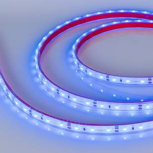 Лента LED RTW-PFS-A60 4,8 W/m 12V IP68 2835/60 K 11mm (5м) 34012 ARLIGHT