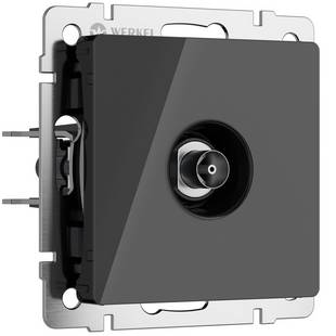 Розетка  TV одиночная, черный , W1183048, WERKEL