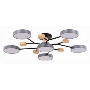 Люстра потолочная EVOLUCE FAEMA SLE6006-702-06
