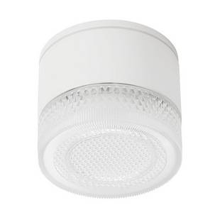 Светильник уличный потолочный ARTE LAMP PIAUTOS A1926PF-1WH