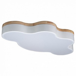 Светильник потолочный LOFT IT AXEL 4 10005/36 White