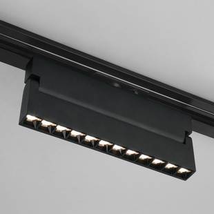 Трековый светильник ELEKTROSTANDARD GARDA 85018/01 черный