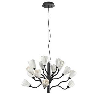 Люстра подвесная ODEON LIGHT GARDI 5090/15
