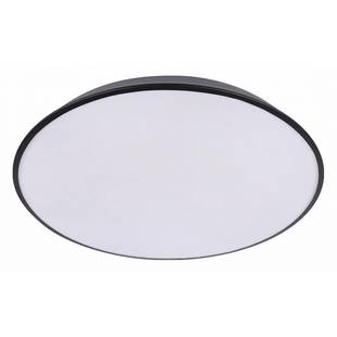 Светильник потолочный LOFT IT BRIM 10226 Black