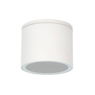 Светильник уличный потолочный ARTE LAMP PIAUTOS A1913PF-1WH