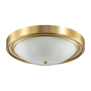 Светильник потолочный LUMION NINA 5259/3C