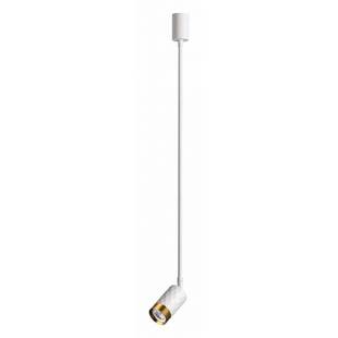Подвес ODEON LIGHT AD ASTRUM 4350/1C