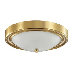 Светильник потолочный LUMION NINA 5259/2C