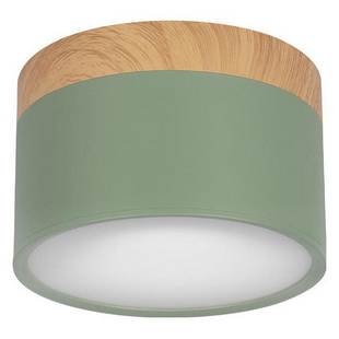 Светильник потолочный LOFT IT GRAPE 10162 Green