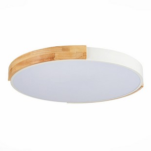 Светильник потолочный EVOLUCE DELIA SLE201352-01